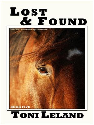 cover image of Lost & Found